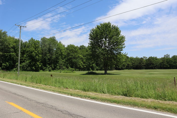 Seaway Drive-In Theatre - June 11 2022 Photo (newer photo)